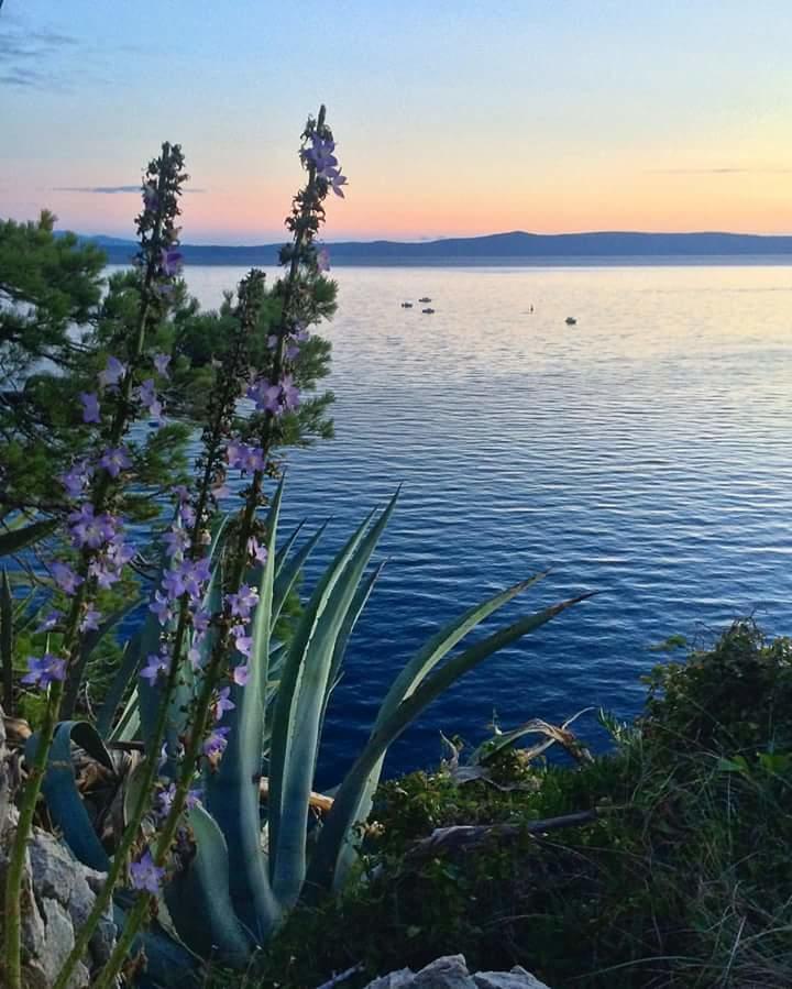 Sea View Ela Apartments Podgora Exterior foto